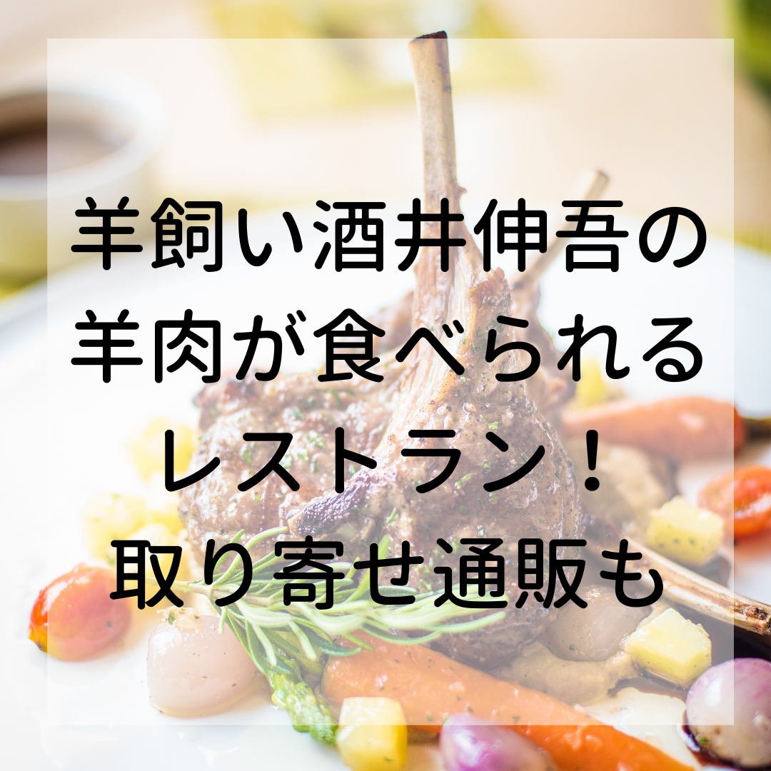 酒井伸吾の羊肉料理があるレストランはどこ お取り寄せ通販はある Room501